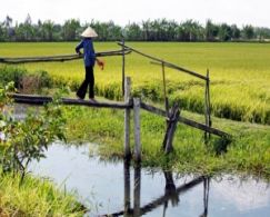 Cai Lay: El Mekong menos transitado turísticamente